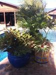 Past Landscaping Projects