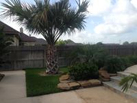 Past Landscaping Projects