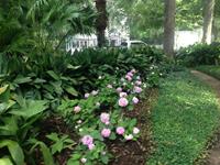 Past Landscaping Projects
