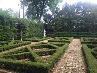 Past Landscaping Projects