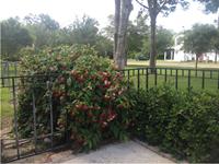Past Landscaping Projects