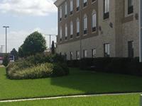 Past Landscaping Projects