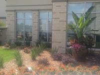 Past Landscaping Projects