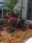 Past Landscaping Projects