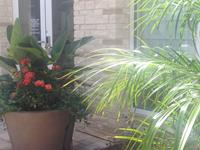 Past Landscaping Projects