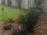 Past Landscaping Projects