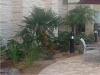Past Landscaping Projects