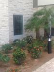 Past Landscaping Projects