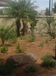 Past Landscaping Projects