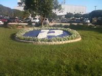 Past Landscaping Projects
